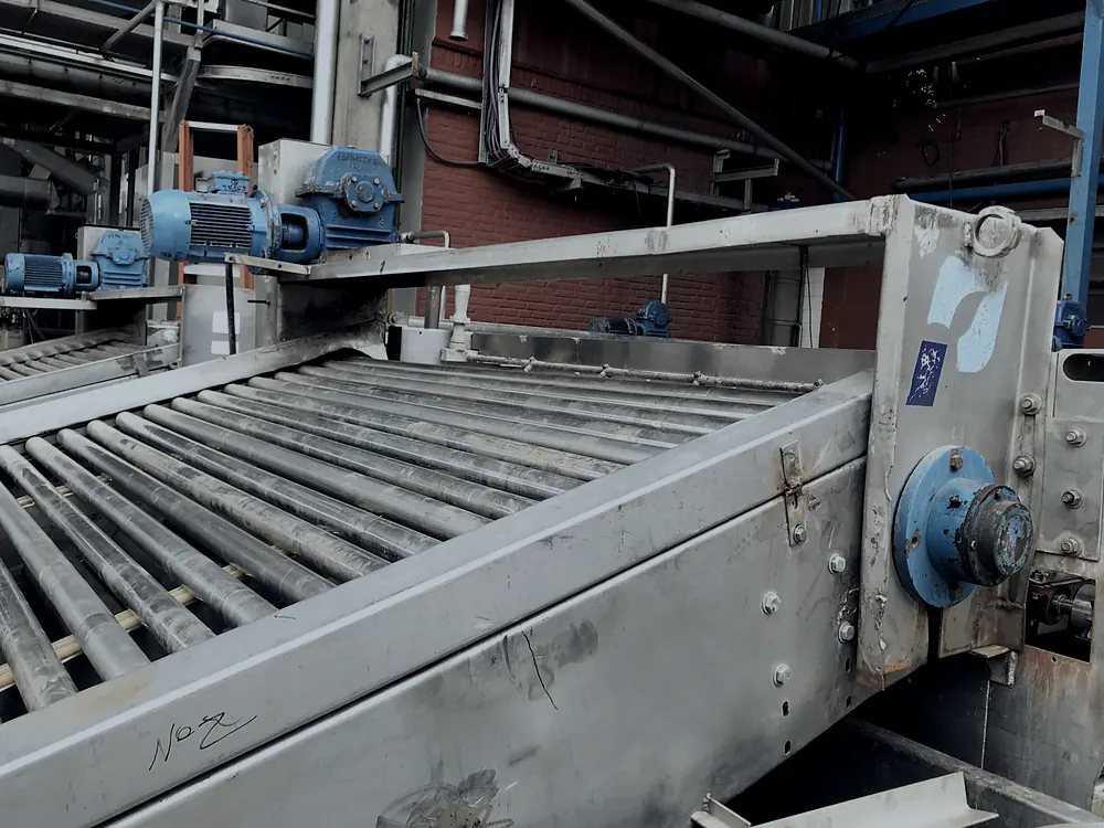 Mesa transportadora de rodillos operando en línea de planta citrícola