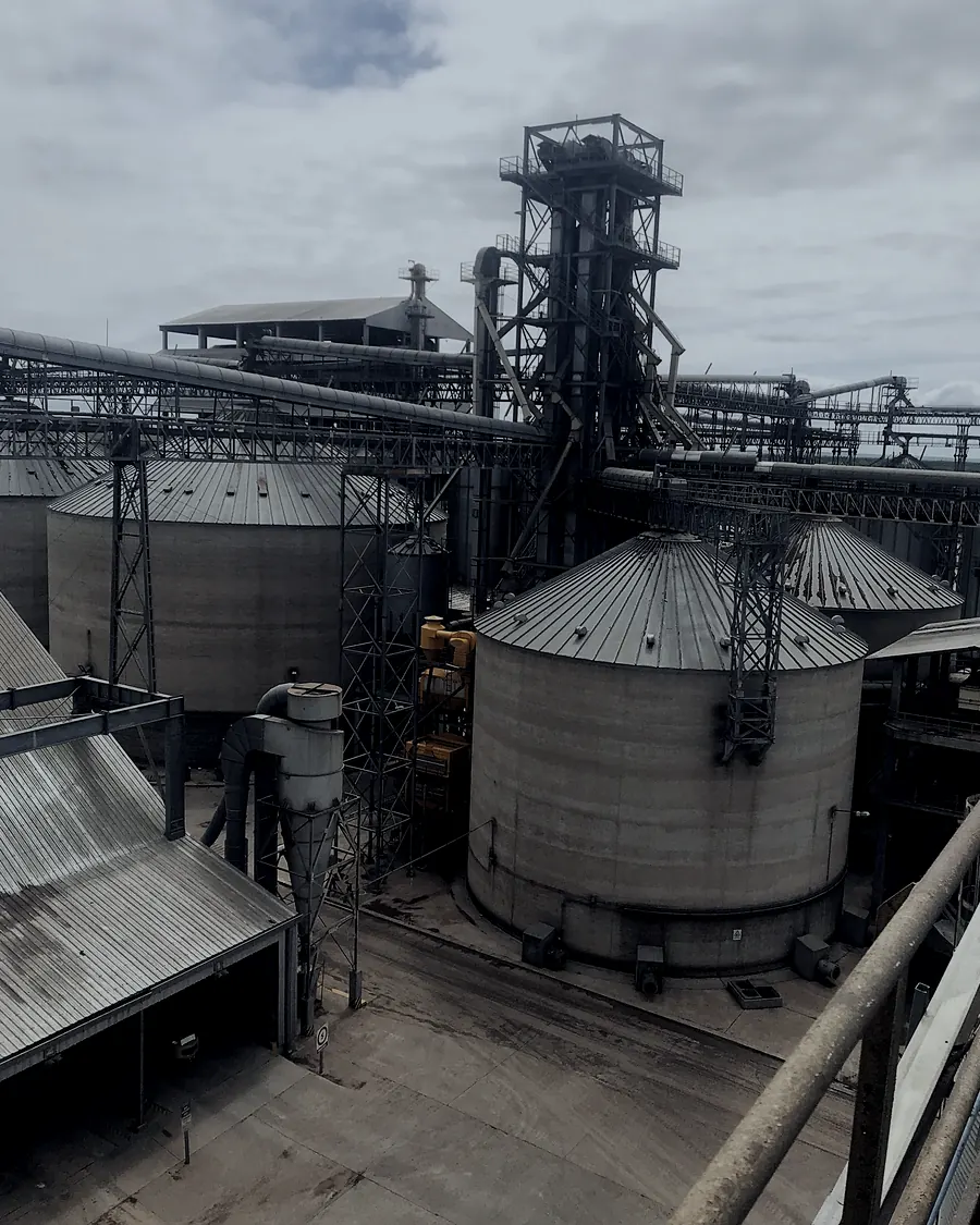 Batería de silos de acopio y estructuras de transferencia